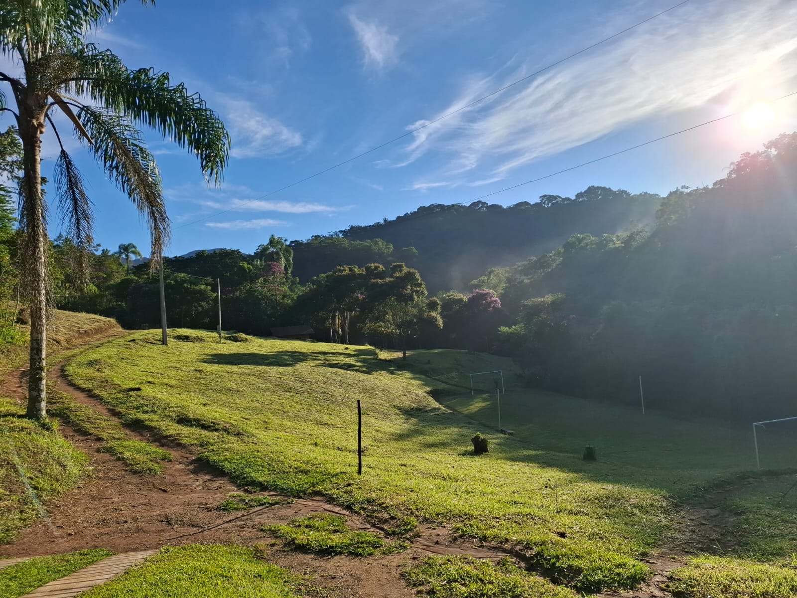 Campo verde